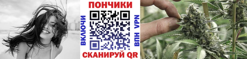 хочу Камызяк Бошки марихуана ГИДРОПОН